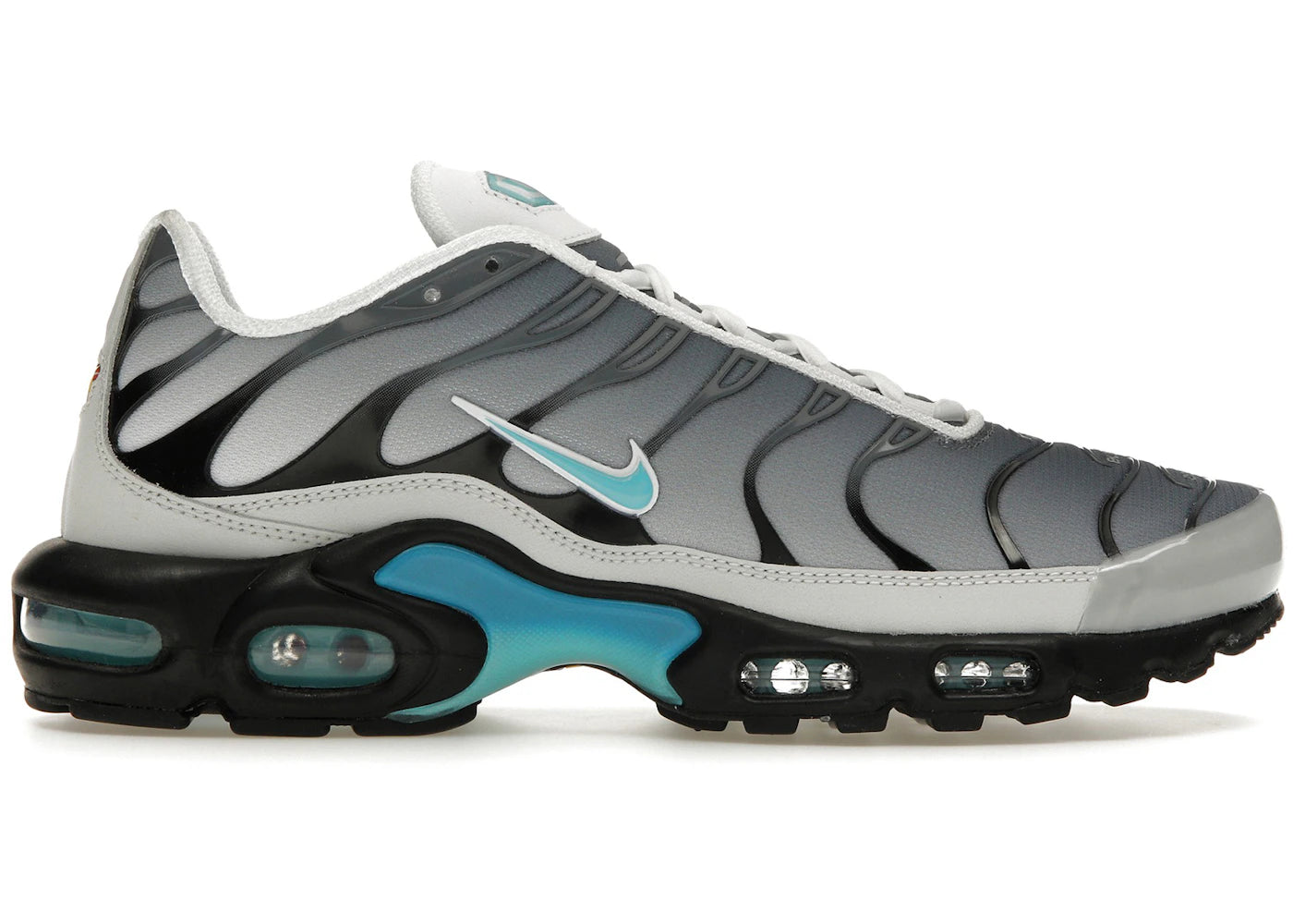 Nike Air Max Plus One Block Down Matte Silver