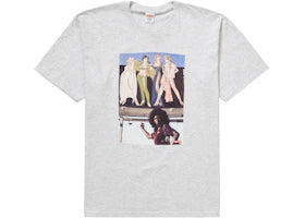 Supreme American Picture Tee Ash Grey