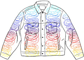 Supreme HYSTERIC GLAMOUR Snake Denim Trucker Jacket White