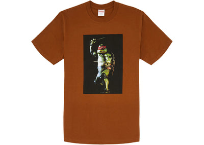 Supreme Raphael Tee Brown
