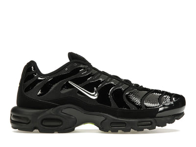 Nike Air Max Plus Black Chrome