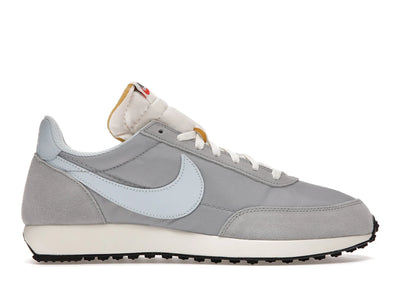 Nike Air Tailwind 79 Antarctica