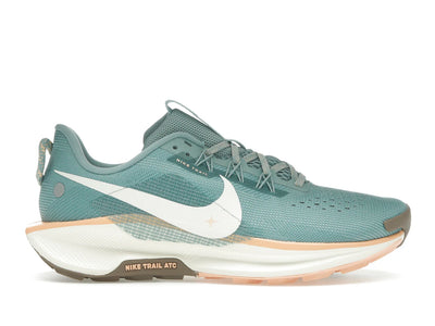 Nike React Pegasus Trail 5 Cannon Mink Brown Orange Chalk Soft Pearl (Women's)