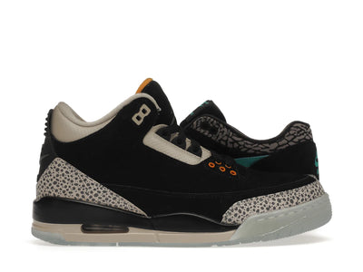 Jordan 3 Retro & Nike Air Max 1 atmos Pack