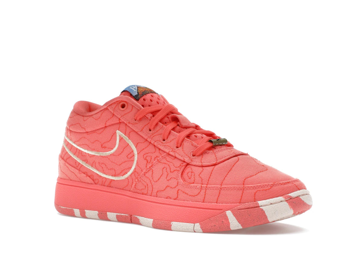 Nike Book 1 Sedona