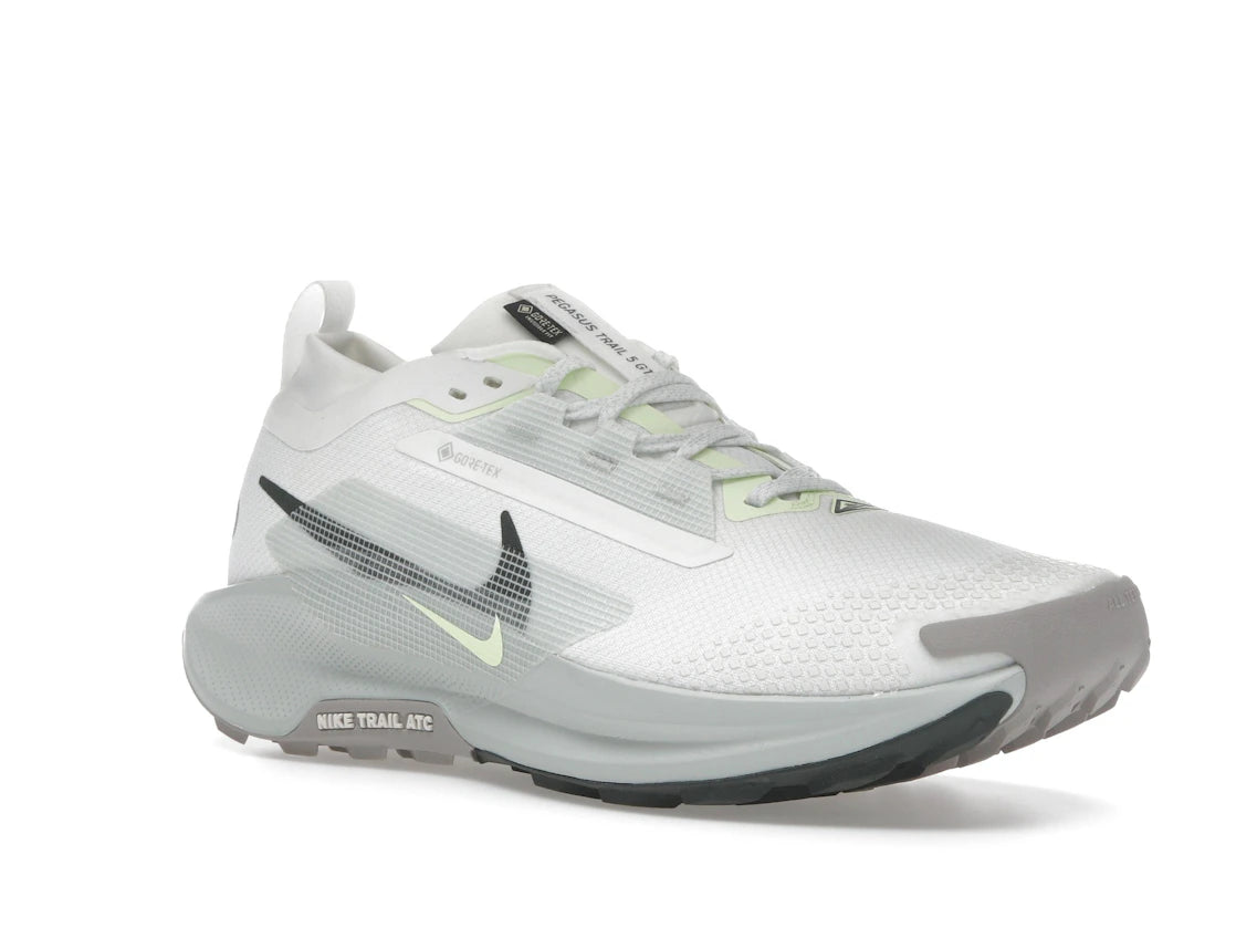 Nike Pegasus Trail 5 Gore-Tex Summit White Light Silver College Gray Sequoia