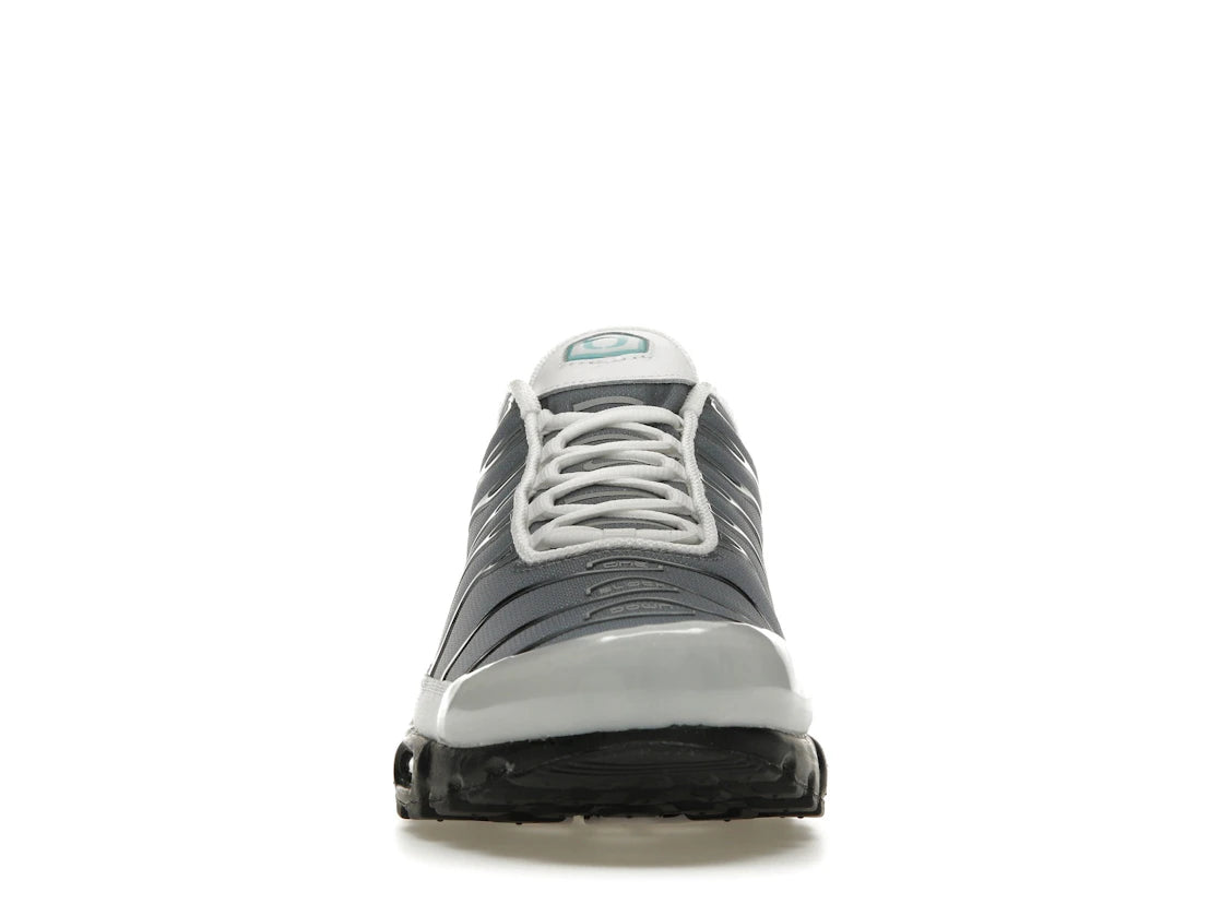 Nike Air Max Plus One Block Down Matte Silver