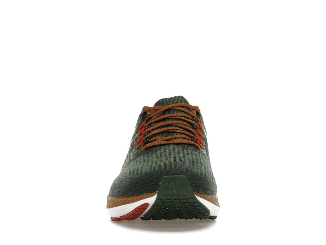 Nike Air Zoom Pegasus 39 AIR Hola Lou