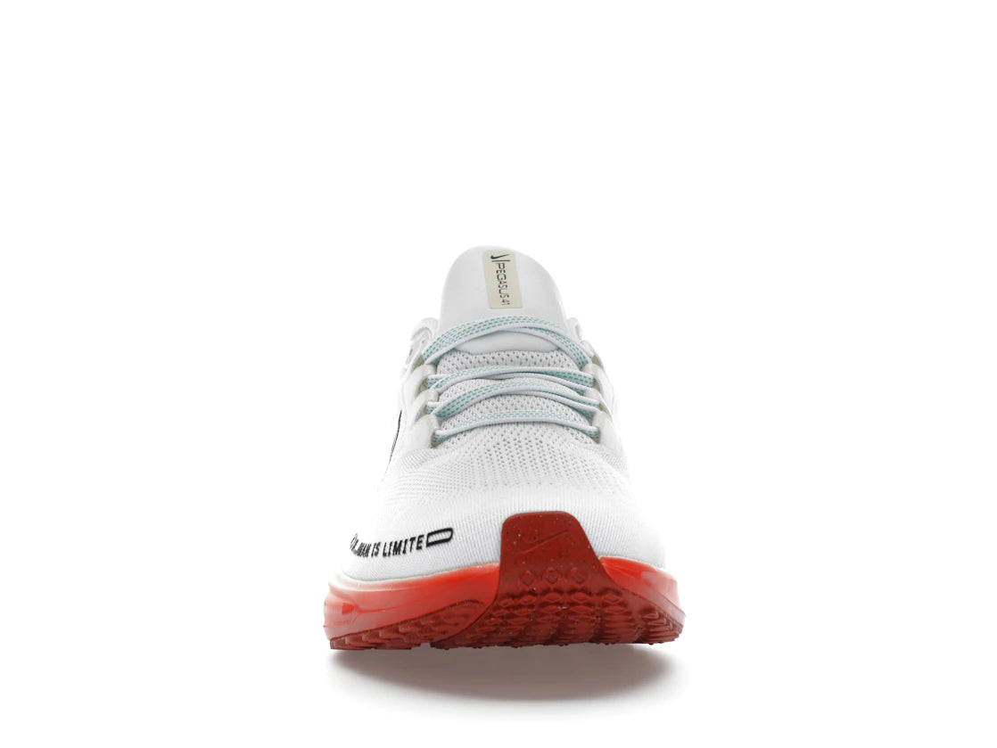Nike Air Zoom Pegasus 41 Eliud Kipchoge
