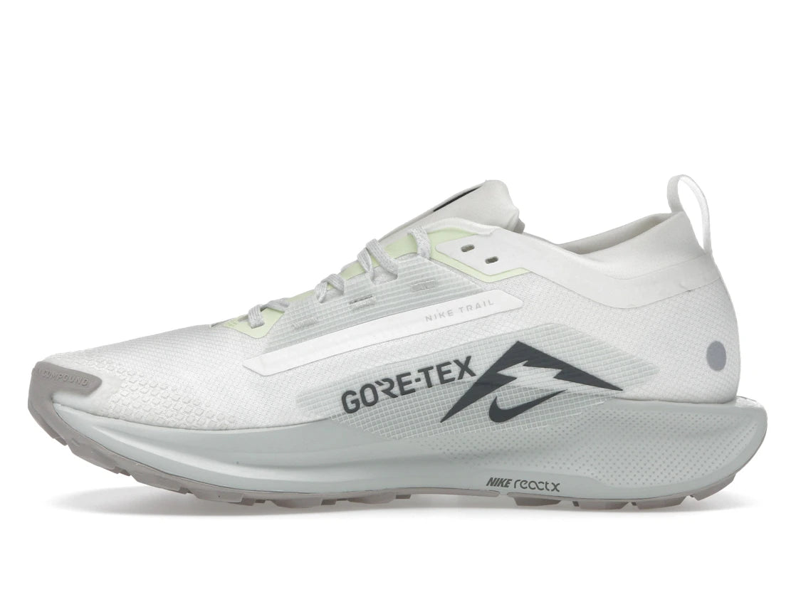 Nike Pegasus Trail 5 Gore-Tex Summit White Light Silver College Gray Sequoia
