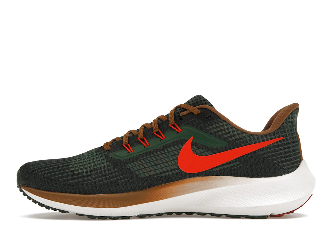 Nike Air Zoom Pegasus 39 AIR Hola Lou