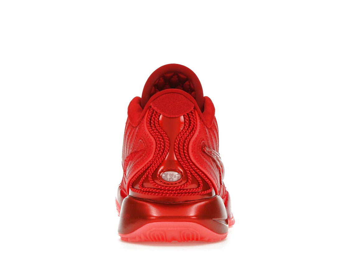 Nike LeBron 21 James Gang