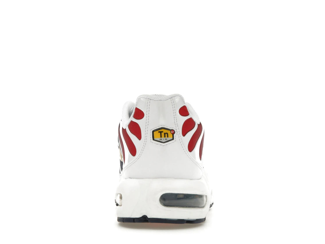 Nike Air Max Plus PSG