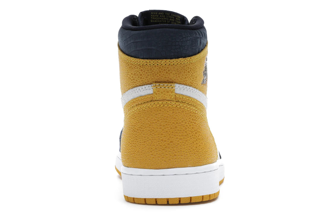 Jordan 1 Retro High Michigan PE