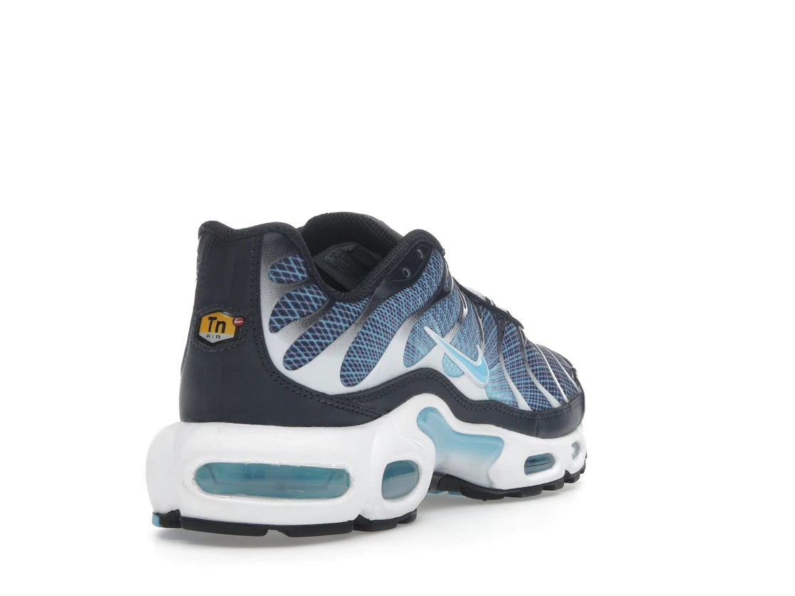 Nike Air Max Plus Dark Obsidian