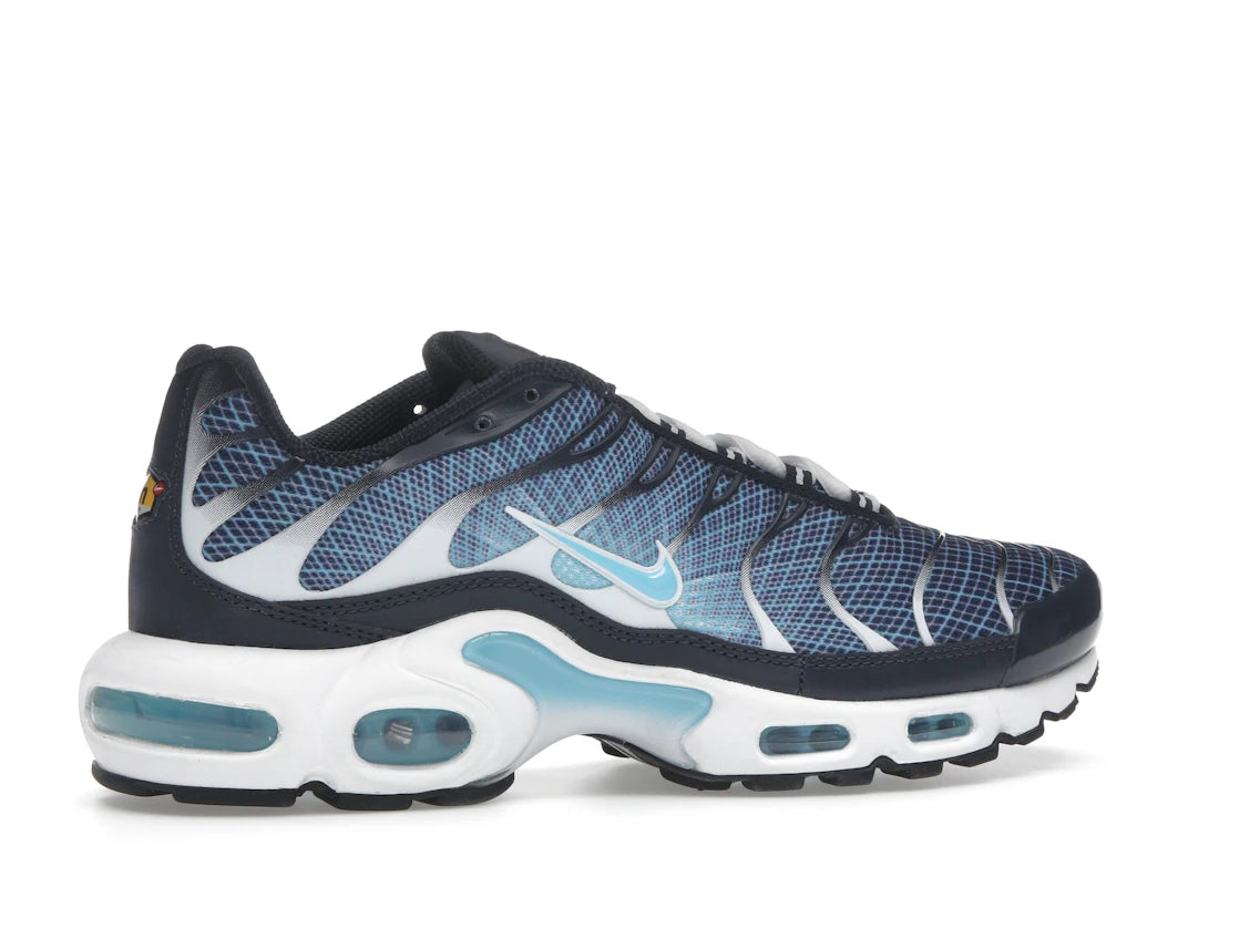 Nike Air Max Plus Dark Obsidian