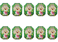 2026 Pokémon Mega Evolution Ascended Heroes Mega Meganium ex Tin 10x Lot