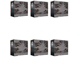 2026 Pokémon Mega Evolution Pitch Black Pokemon Center Elite Trainer Box 6x Lot - authentic Pokemon sneakers