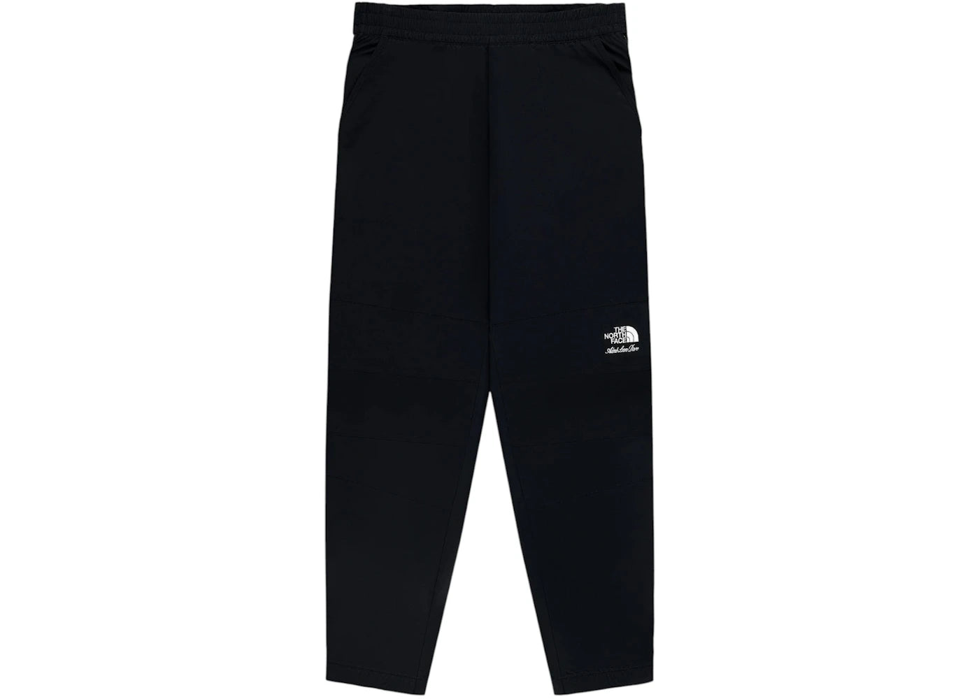 Aime Leon Dore x The North Face Nylon Denali Pant Black - vue secondaire A