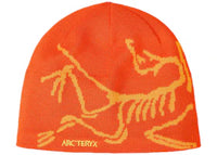 Arc'teryx Bird Head Toque Beanie Solaris/Edziza