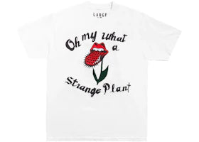 Cactus Plant Flea Market Rolling Stones Strange Plant T-Shirt White