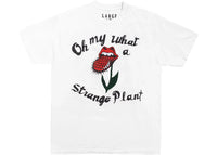 Cactus Plant Flea Market Rolling Stones Strange Plant T-Shirt White