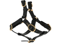 Gucci Small/Medium Pet Harness Black