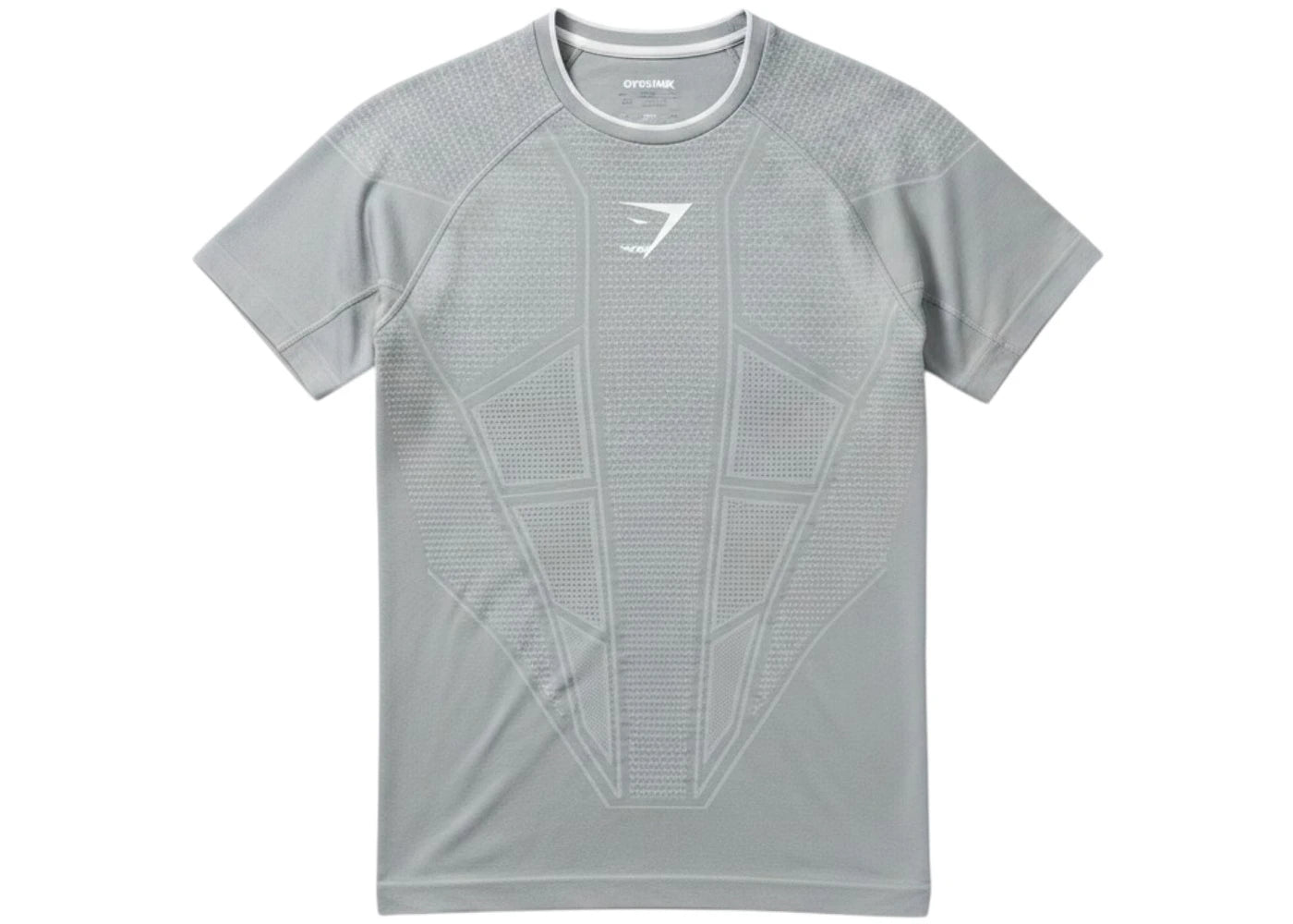 Gymshark Onyx V1 T-Shirt Smokey Grey/Light Grey/White - vue 360