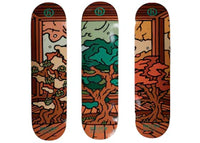 Hidden NY Past/Present/Future Skateboard Deck Set