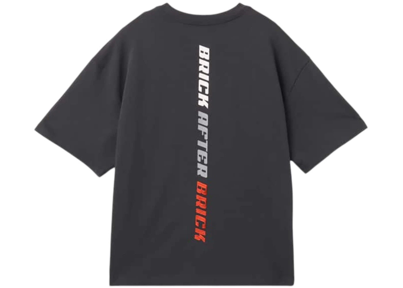 Jordan BIKE AIR x Nigel Sylvester T-Shirt Anthracite - vue 360
