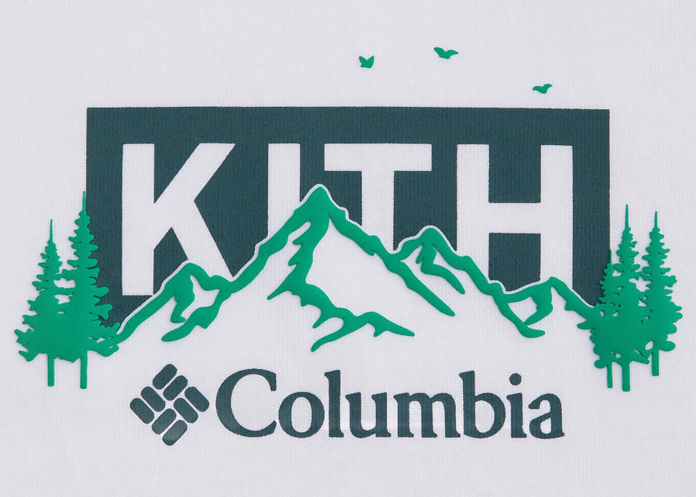 Kith x Columbia Landscape Classic Logo Tee Stadium - vue secondaire B