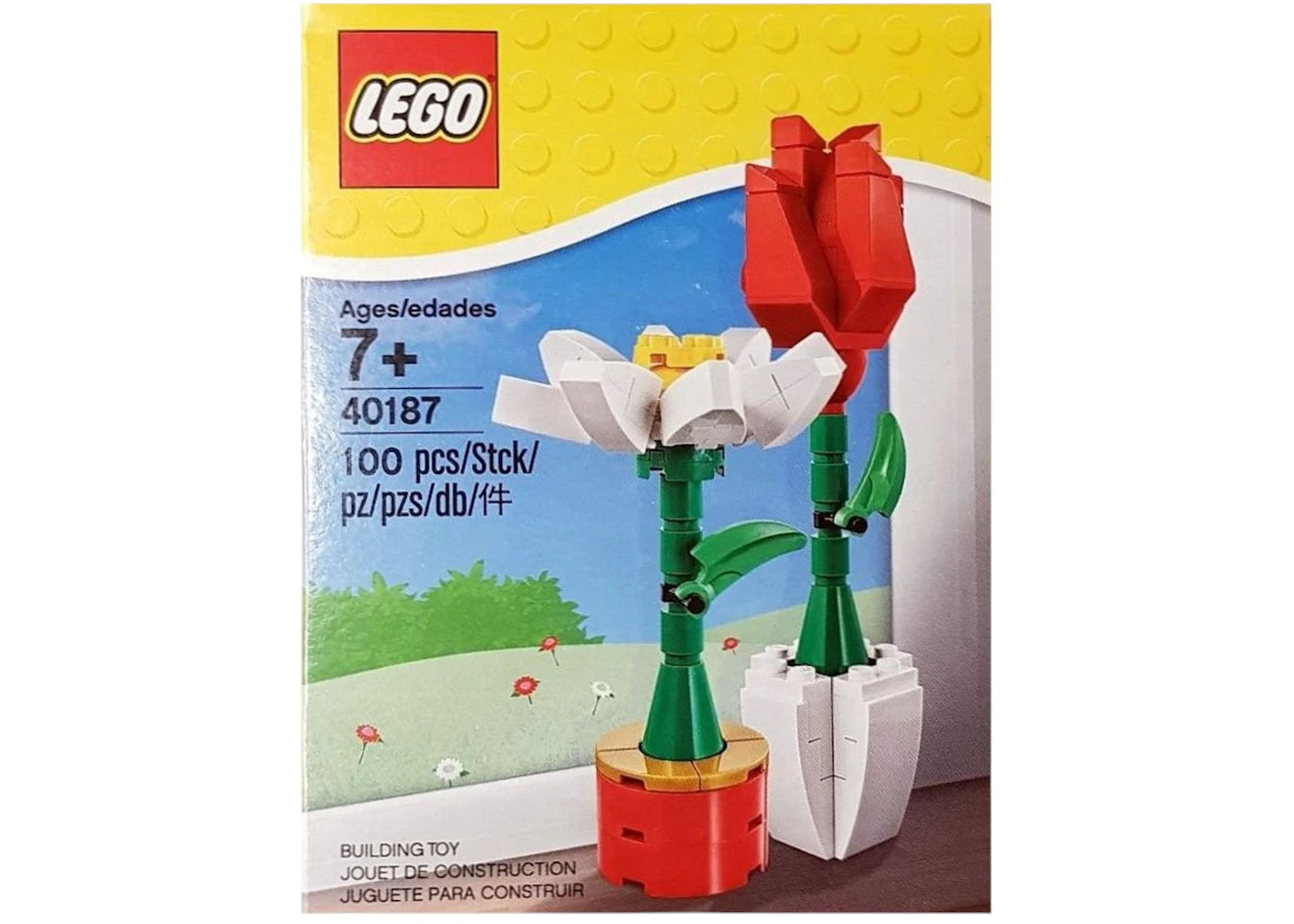 LEGO Valentines Day Flower Display Set 40187 - vue 360