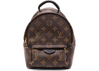 Louis Vuitton Palm Springs Monogram Mini Brown
