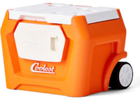 MSCHF Dead Startup Toys Coolest Cooler