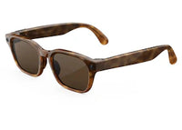 Meta Smart Adventurer Glasses Classic Tortoise (Brown)