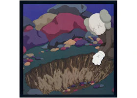 NTWRK Snoop Doggy Dogg DoggyStyle by KAWS Gallery Picture Disc (Edition of 900) - vue 360