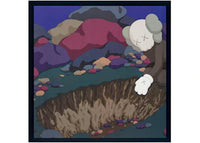 NTWRK Snoop Doggy Dogg DoggyStyle by KAWS Gallery Picture Disc (Edition of 900)