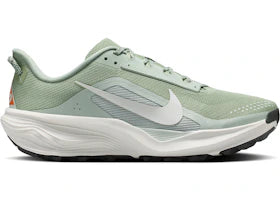 Nike ACG Pegasus Trail Jade Horizon Light Silver - vue 360