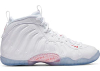 Nike Air Foamposite One Takeout Bag (GS)