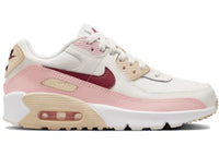 Nike Air Max 90 Phantom Echo Pink (GS)