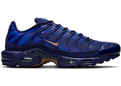 Nike Air Max Plus French Football Federation - authentic Nike sneakers