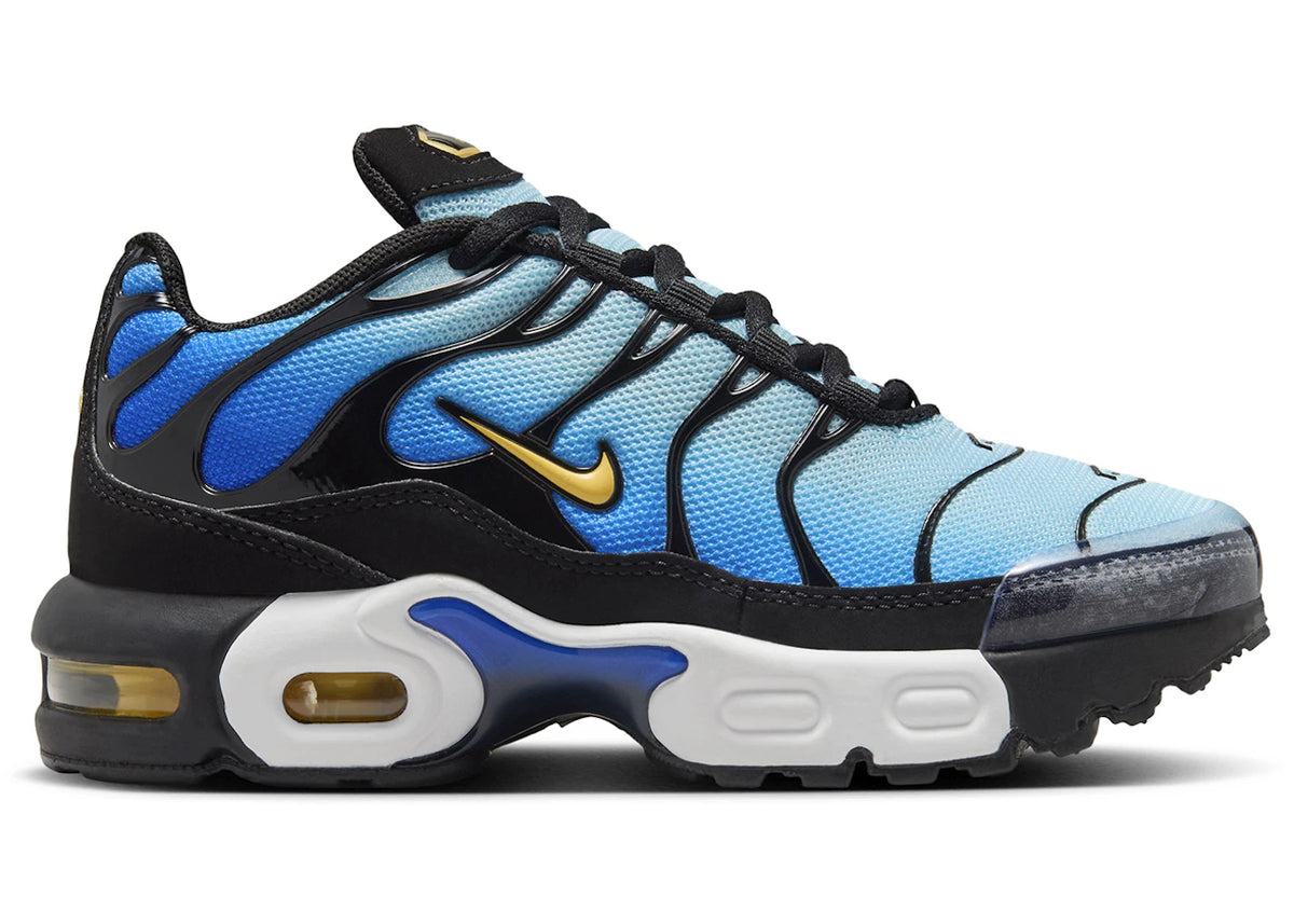 Nike Air Max Plus Hyper Blue (PS) fuer Chind - vue 360