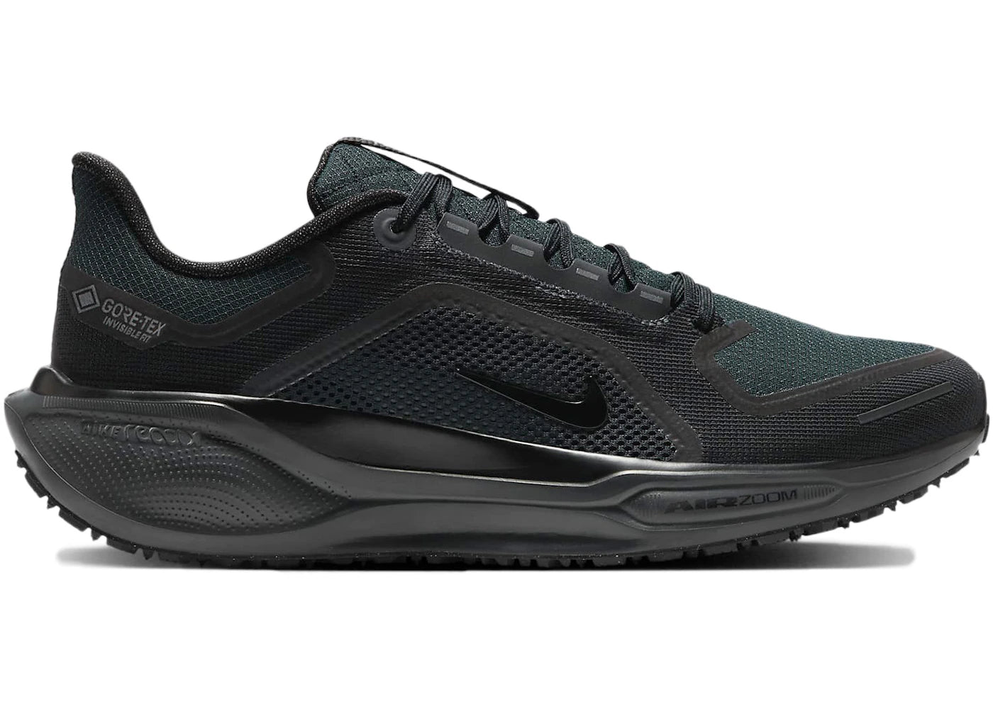 Nike Air Zoom Pegasus 41 Gore-Tex Black - vue 360