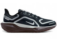 Nike Air Zoom Pegasus 41 Gore-Tex Dark Obsidian Anthracite Pure Platinum (Women's)