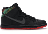 Nike SB Dunk High SPOT Gasparilla