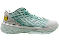 Nike Kobe 3 Low Protro CHBL