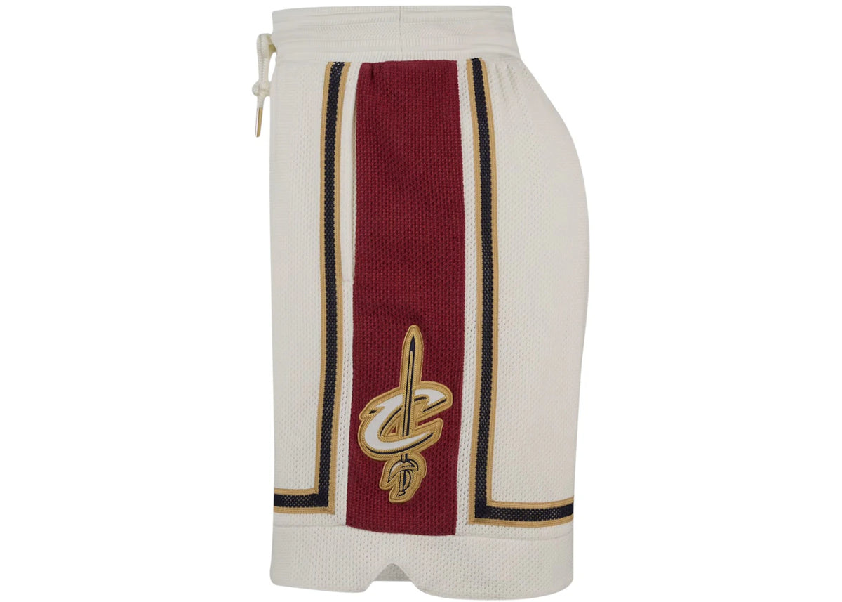 Nike LeBron James Dri-FIT NBA Shorts Multicolor - vue secondaire B