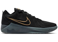 Nike LeBron Witness 9 Black Dark Smoke Grey (Translucent Outsole)