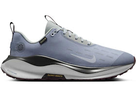 Nike React Infinity Run 4 Gore-Tex Ashen Slate Light Pumice Dark Smoke Grey Football Grey