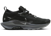 Nike React Pegasus Trail 5 Gore-Tex Black Cool Grey (Women's)